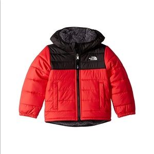 Toddler 4T NORTH FACE